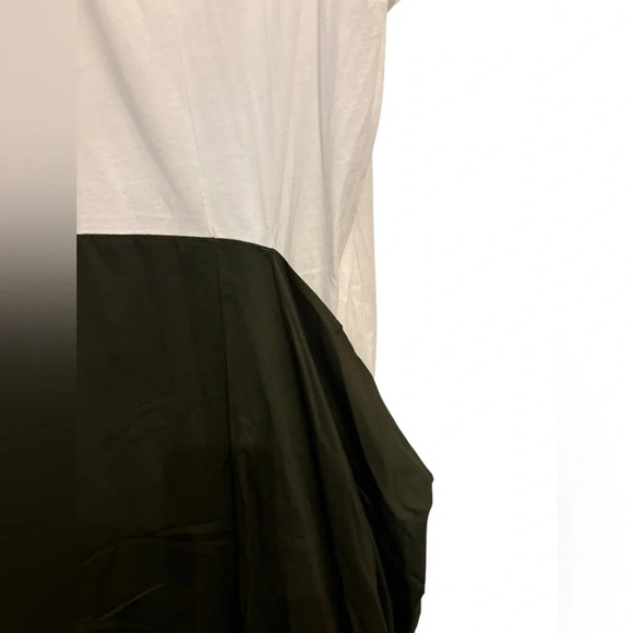 Zara Asymmetrical Dress in Cream and Black - Picture 4 of 6